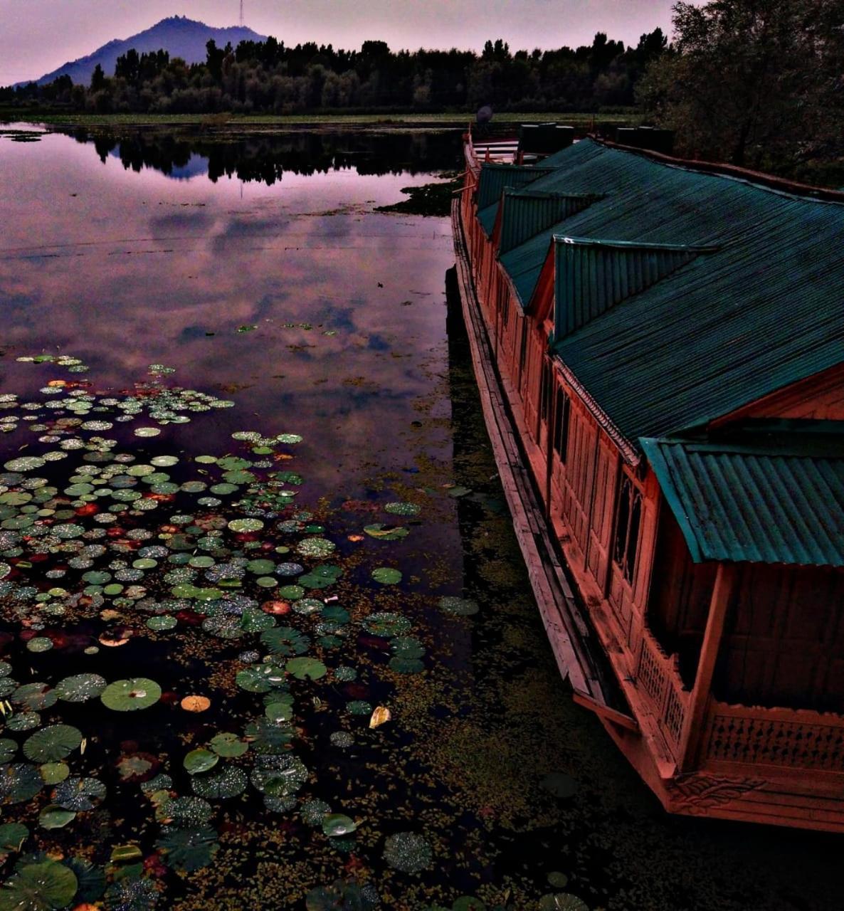 Отель Kings Houseboats Сринагар Экстерьер фото